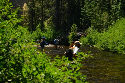 DSC_0214 (Large).JPG